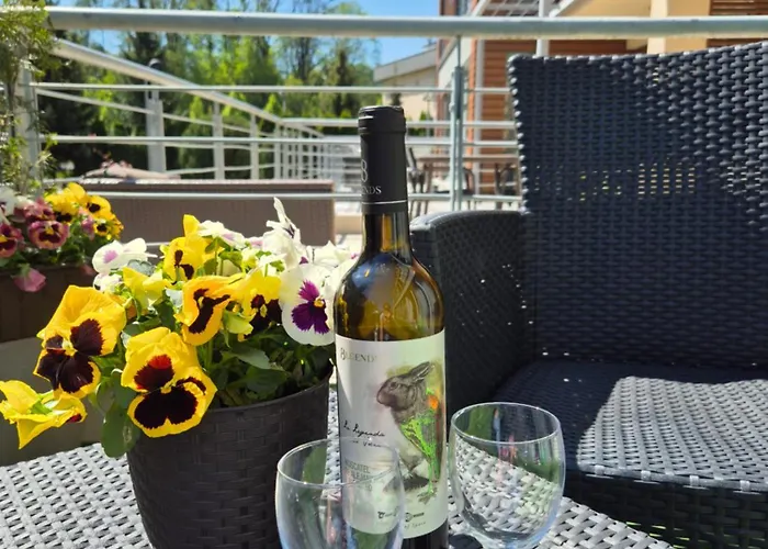 Apartment Z Tarasem Zeta Park *